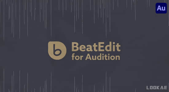 Audition插件-音乐鼓点自动节拍打点标记动画脚本 BeatEdit v2.2.002+使用教程