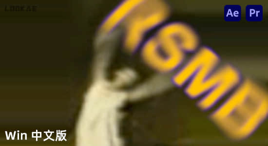 Win中文汉化-RSMB动态运动模糊AE/PR插件 ReelSmart Motion Blur 6.4.4