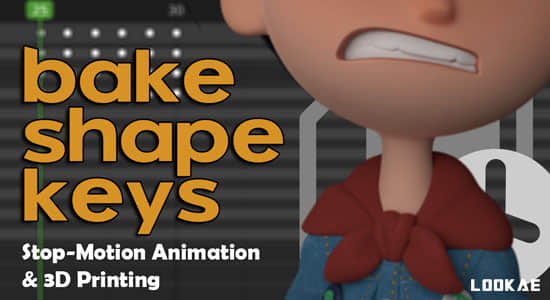 形态键烘焙Blender插件 Bake Shape Keys v1.2.0