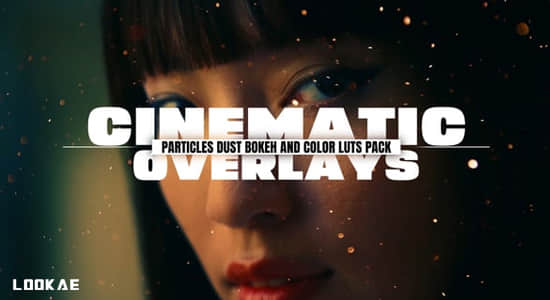 4K视频素材-15组电影粒子灰尘漂浮氛围叠加动画 Cinamatic Particles Dust Bokeh