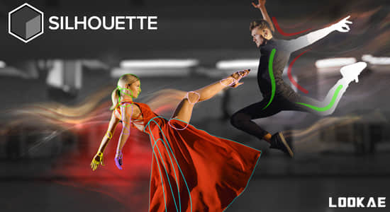 Silhouette 2025.0.0 CE Win影视后期ROTO跟踪抠像合成软件AE/PR/达芬奇/VEGAS/OFX插件