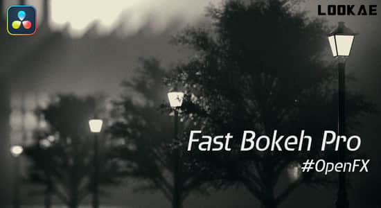 达芬奇插件-快速景深虚焦模糊插件 Fast Bokeh Pro v2.0.9 Win
