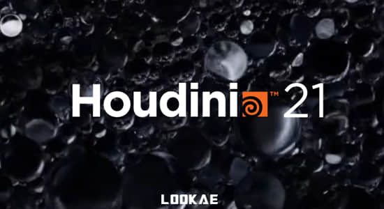 高效实用三维电影特效制作软件 SideFX Houdini FX 21.0.44 Win
