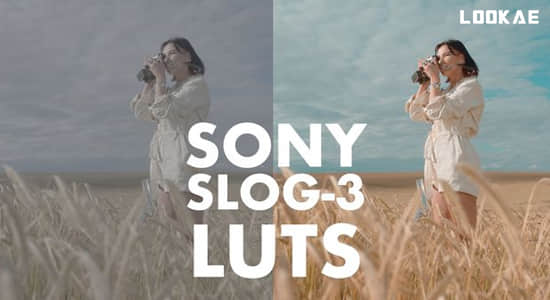电影级人像肤色还原LUT视频调色预设 SONY SLOG 3 LUTS