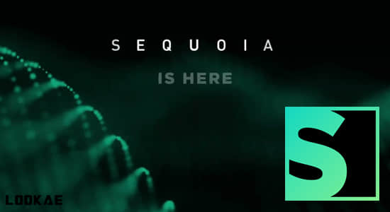 录音混音专业母带制作软件 Sequoia 2025.0.1 v17.4.2 Win